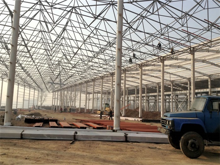 瑞安网架架构工程