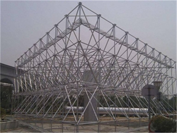 瑞安仓储物流网架加工厂家案例